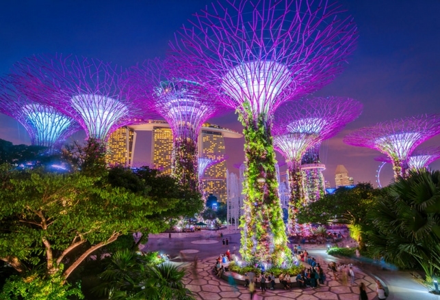 La meraviglia del Gardens By The Bay