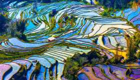 Quando la natura sembra un dipinto Impressionista