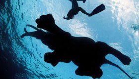 Isole Andamane, un paradiso indiano nascosto