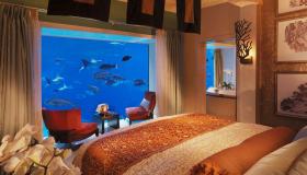 Dormire in un acquario circondati da mante, squali e pesci colorati