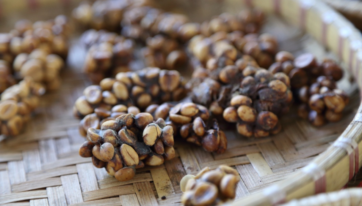 Caffe Kopi Luwak
