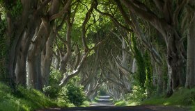 Viaggio nell’Irlanda del Nord nei luoghi di Game of Thrones
