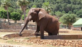 Lo zoo di Fasano: una perla italiana