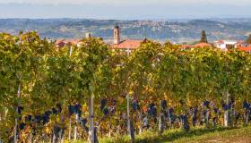 I paesi più belli delle Langhe