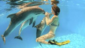 Il sogno di una vita: nuotare con i delfini