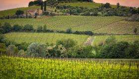 Val d’Orcia da scoprire tra incantevoli borghi e vigneti