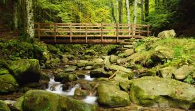 Alla scoperta del Parco nazionale delle Foreste Casentinesi