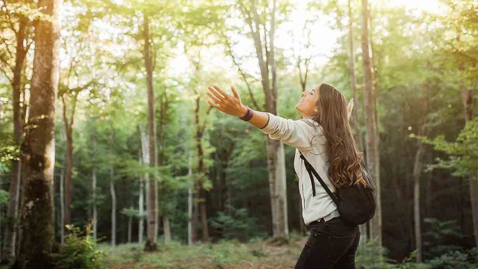 Gli alberi fanno bene e rendono felici. Lo dice la scienza