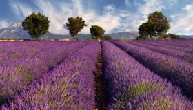 Visitare il castello di Christian Dior: quando e come