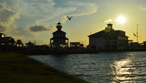 new-orleans-bayou-t