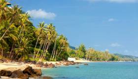 Cosa conviene comprare a Koh Samui