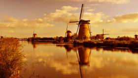 Cosa conviene comprare in Olanda