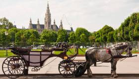 Cosa conviene comprare a Vienna