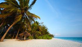 Cosa conviene comprare a Zanzibar