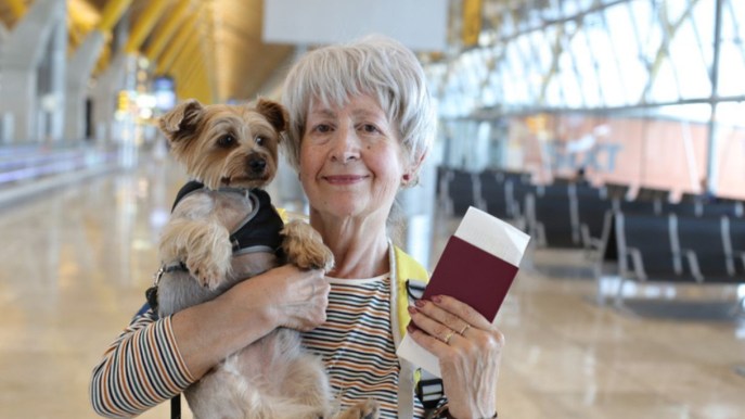 Volare e trasportare animali: regole e costi Lufthansa