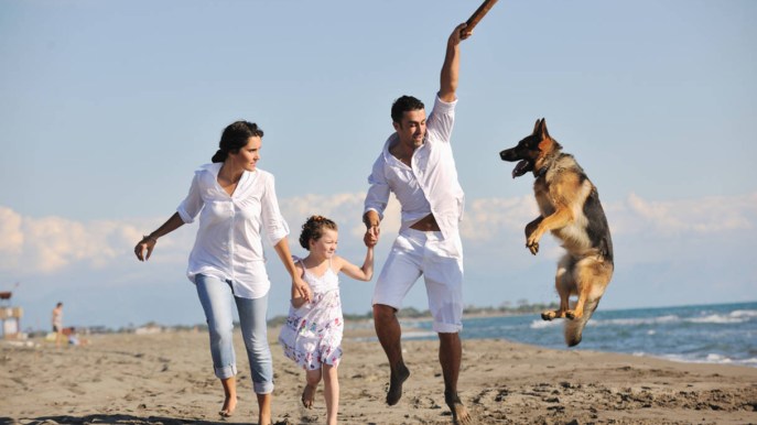 Spiagge per cani a Riccione