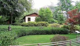 Svizzera: alla ricerca di un week-end speciale per famiglie