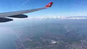 Volare e trasportare animali : regole e costi Turkish Airlines