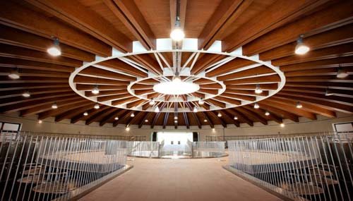 cantina-le-mortelle