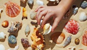 Le conchiglie che non si possono raccogliere