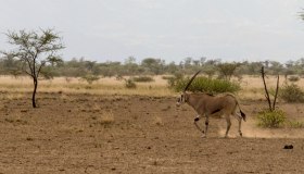 Cosa vedere ad Addis Abeba, il nuovo fiore d’Etiopia