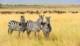 Dieci luoghi da visitare assolutamente in Sudafrica