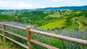 Il belvedere più romantico del mondo è nel Monferrato