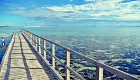 Viaggio in terra di Stromatoliti, tra organismi antichissimi