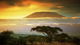 Vacanze in Tanzania: cosa vedere e quale periodo scegliere