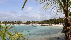 Cose fare ad Akumal, in Messico, nella baia delle tartarughe