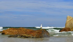 Vacanze al mare a Santa Catarina, le spiagge del Brasile del Sud