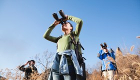 Lituania, un paradiso per gli uccelli