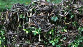 10 posti incredibili che da turista non puoi visitare