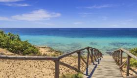 Puglia, il mistero della foresta pietrificata