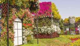 Miracolo a Dubai: il giardino più grande del mondo è qui
