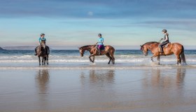 Maremma Toscana: a cavallo alla scoperta di un angolo incantevole d’Italia