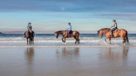 Maremma Toscana: a cavallo alla scoperta di un angolo incantevole d’Italia