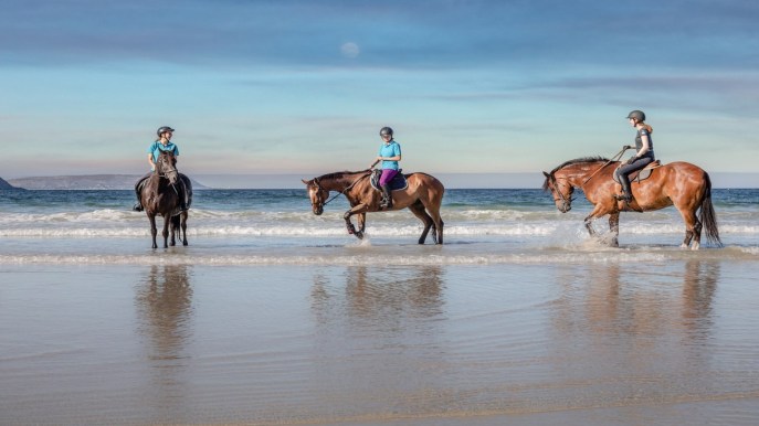 Maremma Toscana: a cavallo alla scoperta di un angolo incantevole d’Italia