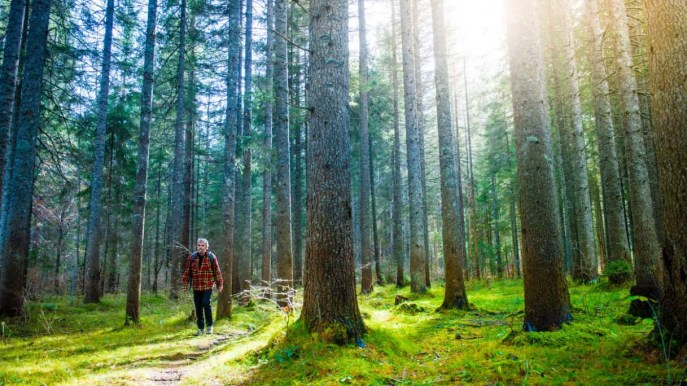 5 passeggiate facili da fare in Italia