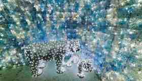 Lucine di Natale, l’evento più magico delle feste