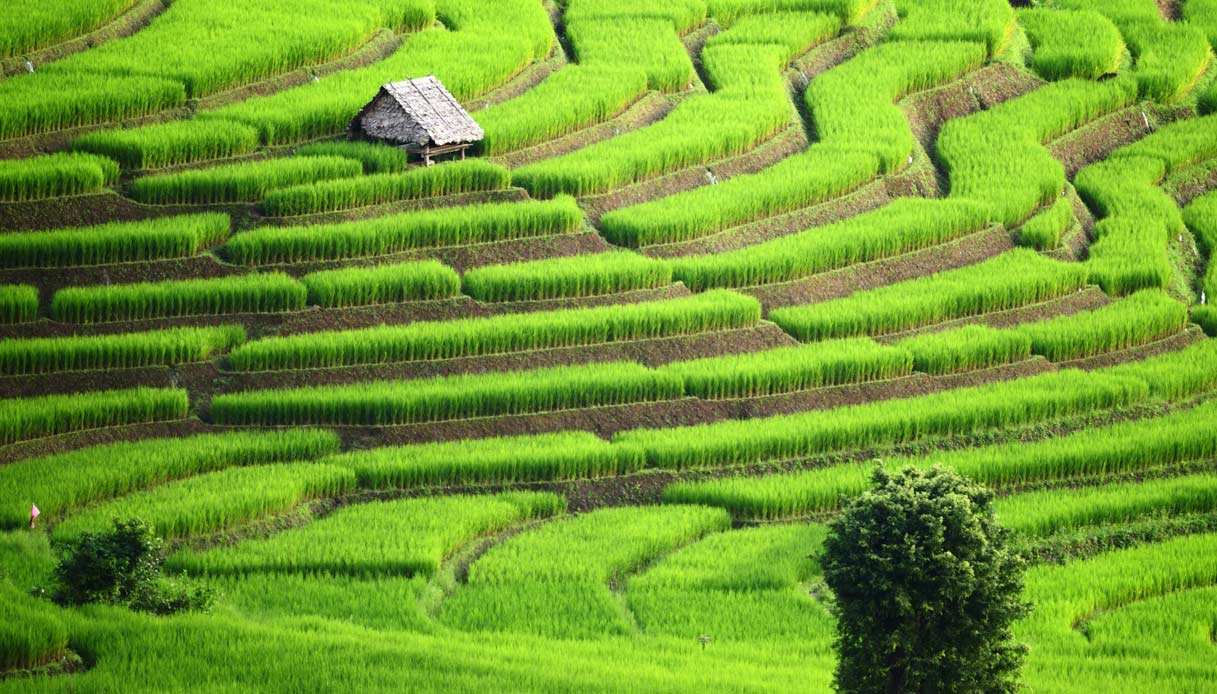 thailandia-campagna-risaie-villaggi