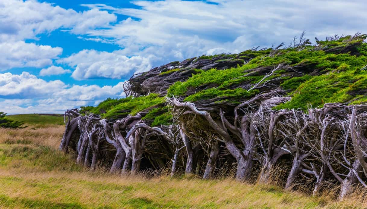 Slope Point