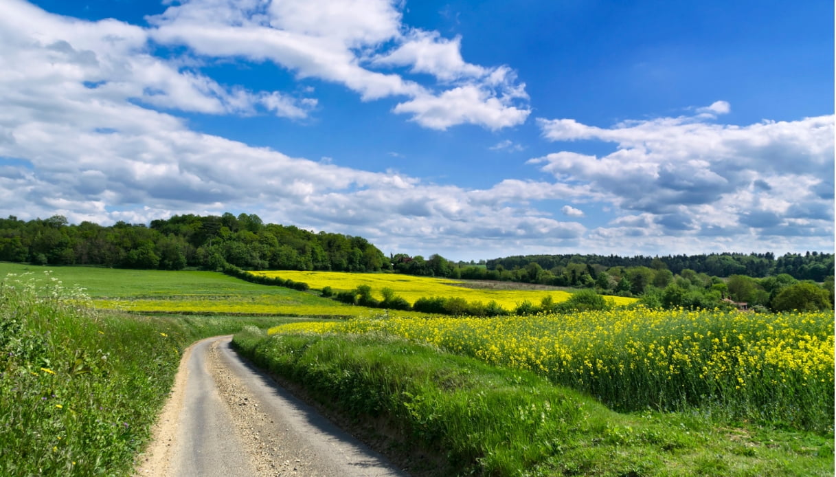 Suffolk