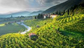 La Strada del Prosecco, da Conegliano a Valdobbiadene