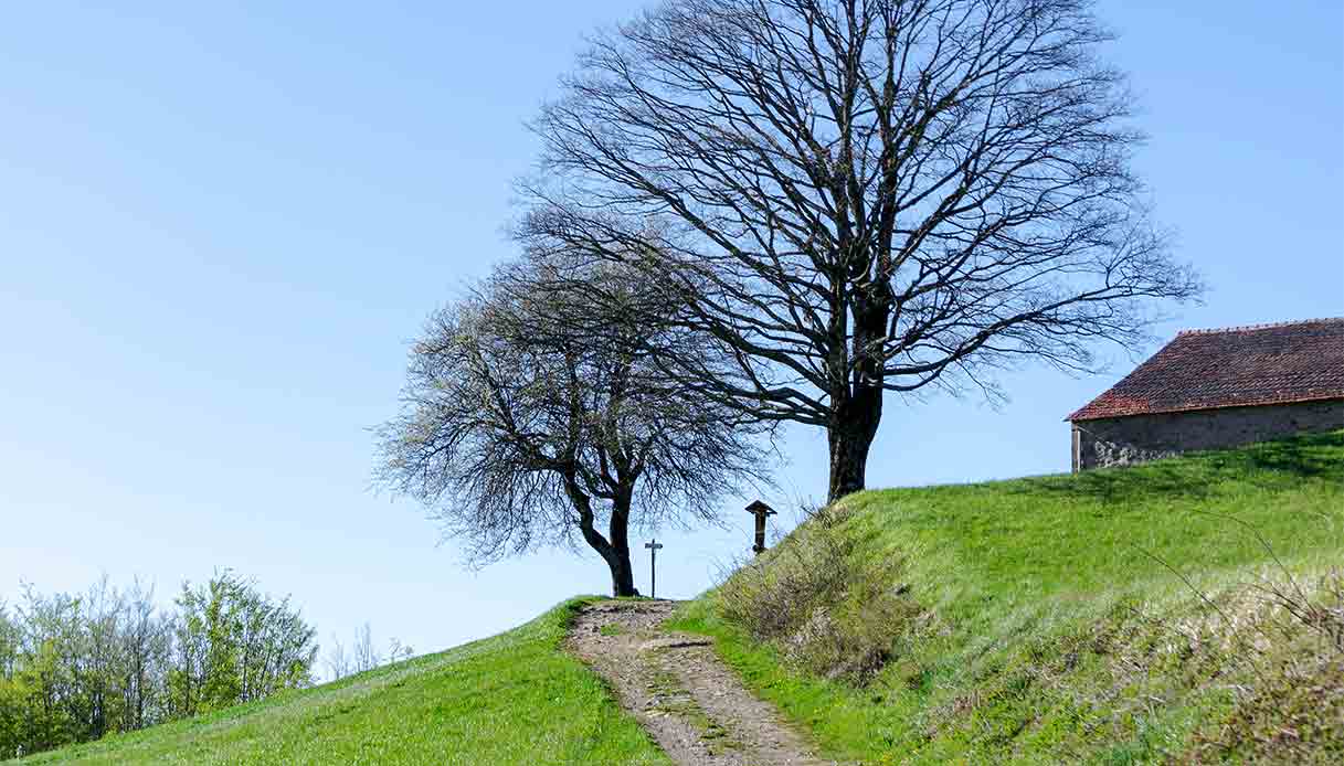 Via delle Dee, il trekking per sole donne tra Emilia-Romagna e Toscana