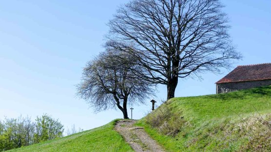 Via delle Dee, il trekking per sole donne tra Emilia-Romagna e Toscana