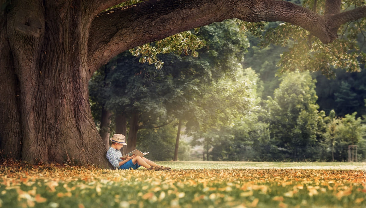 Le foreste che hanno ispirato i libri più famosi: scoprile tutte