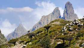 Tutto quello che c’è da sapere per un viaggio in Yemen