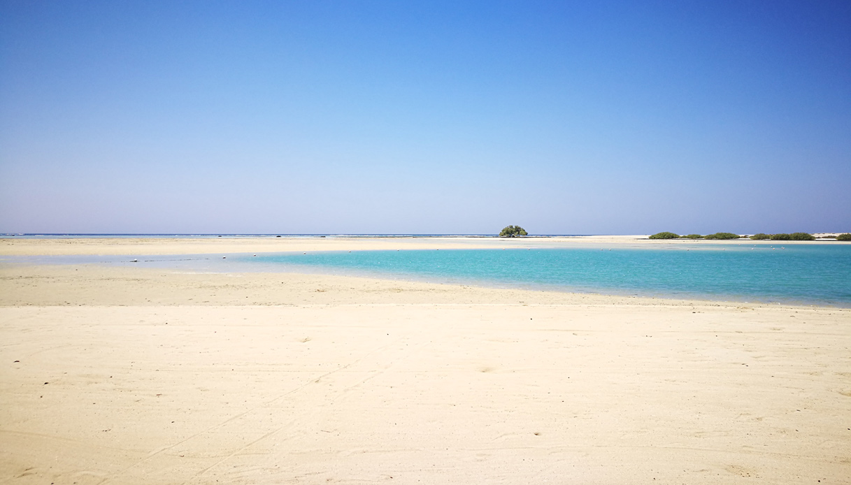 egitto.parco-wadi-el-gemal-marsa-alam-mangrovie