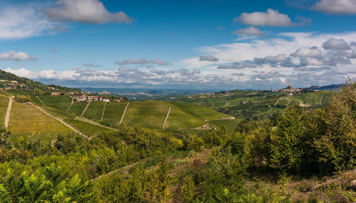 I vigneti sulle colline